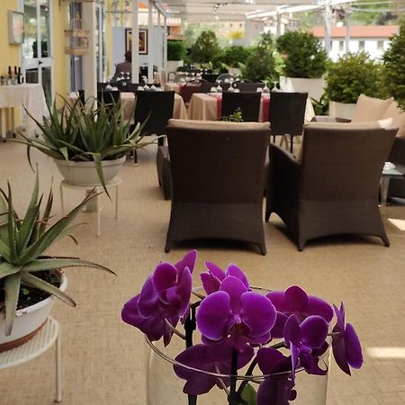 Belvedere Resort Ai Colli Galzignano Terme Eksteriør billede