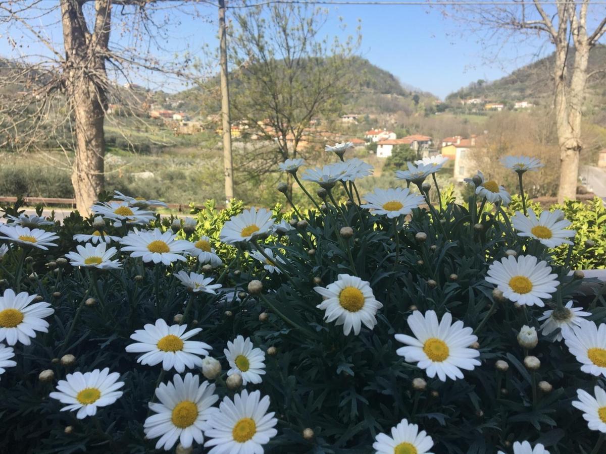 Belvedere Resort Ai Colli Galzignano Terme Eksteriør billede