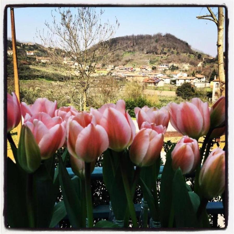 Belvedere Resort Ai Colli Galzignano Terme Eksteriør billede